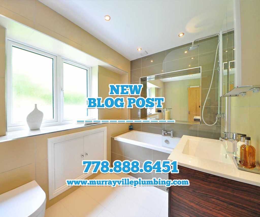 The Most Common Home Leaks