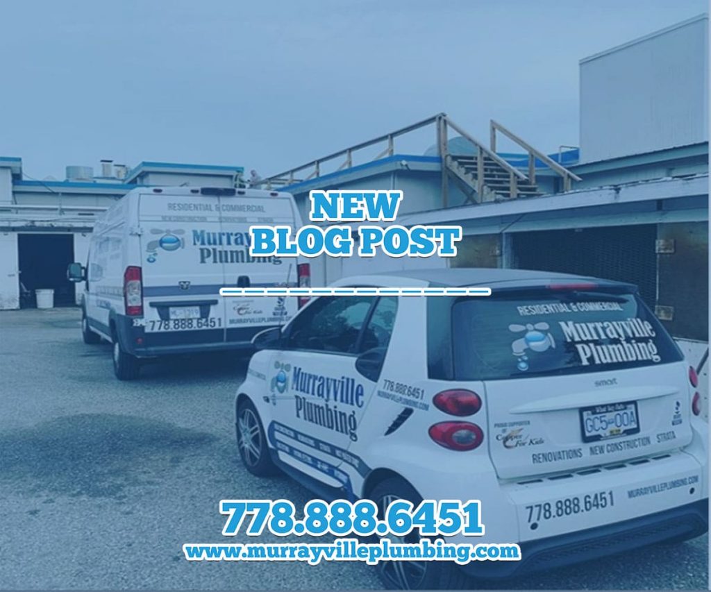 Maintenance Plumbing For Commercial Business