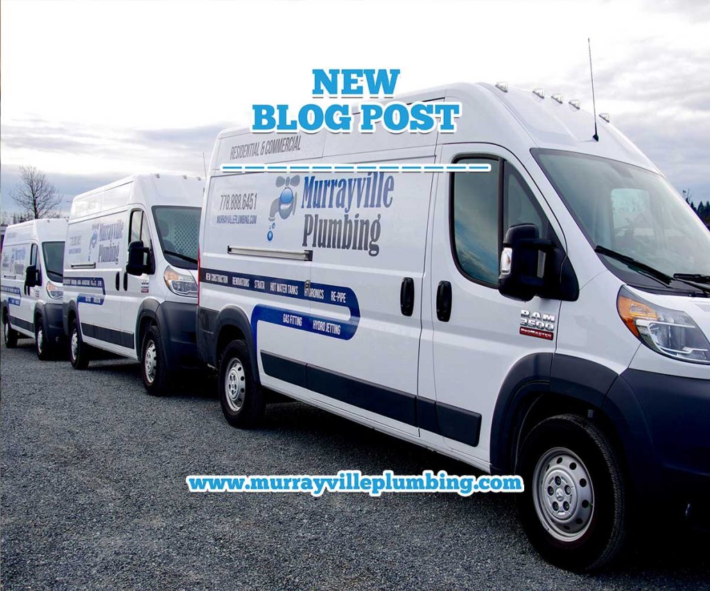 When To Hire A Professional Plumber