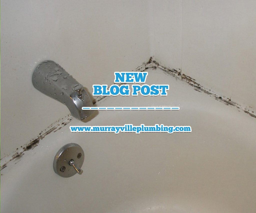 Keeping Mold Out Of Your Bathroom Murrayville Plumbing Tips