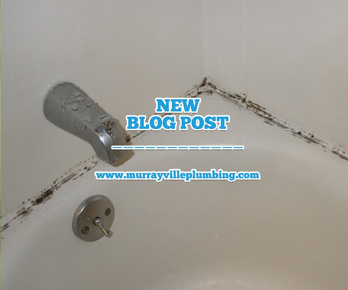 Keeping Mold Out Of Your Bathroom Murrayville Plumbing Tips