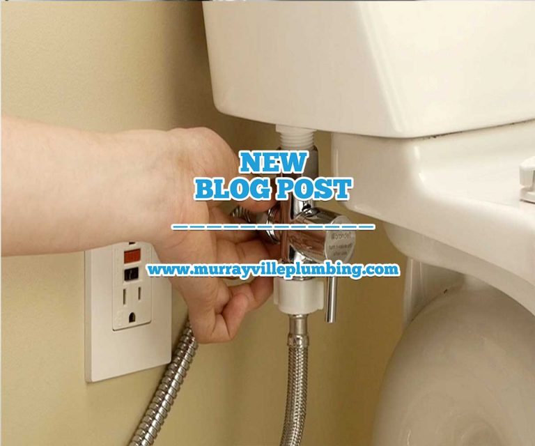 Get A Bidets Installed Murrayville Plumbing & Heating Ltd.