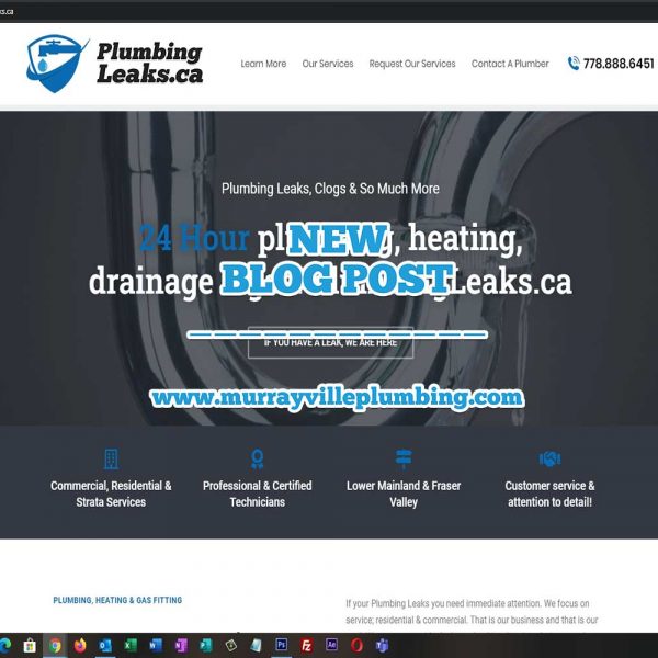 Plumbing Leaks Tips