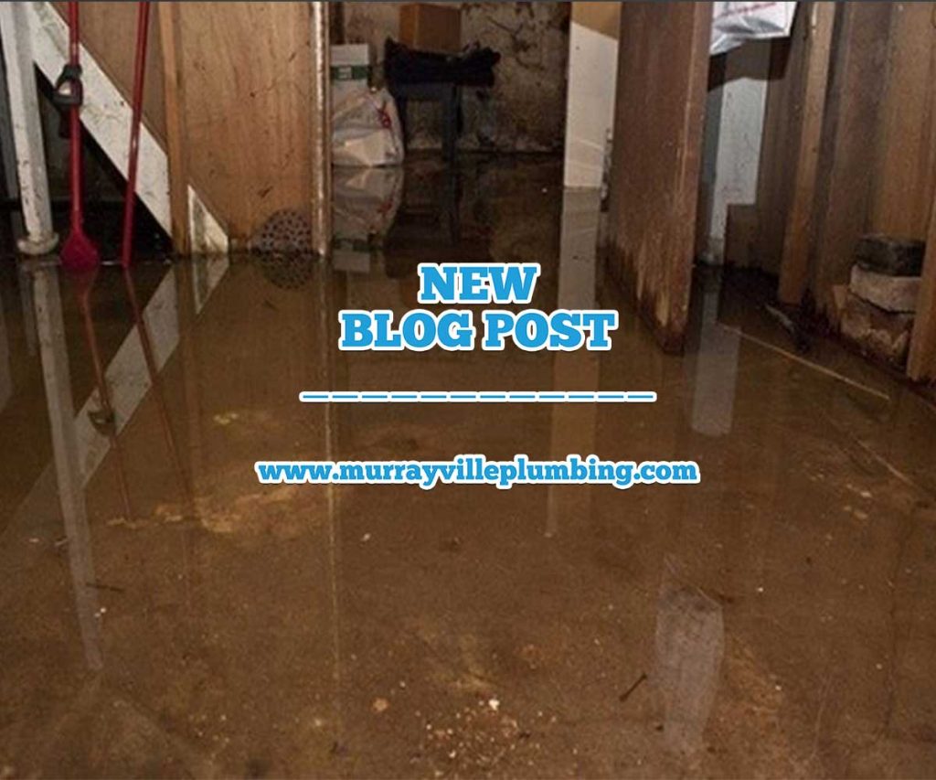 Sewer Backup & Restoration