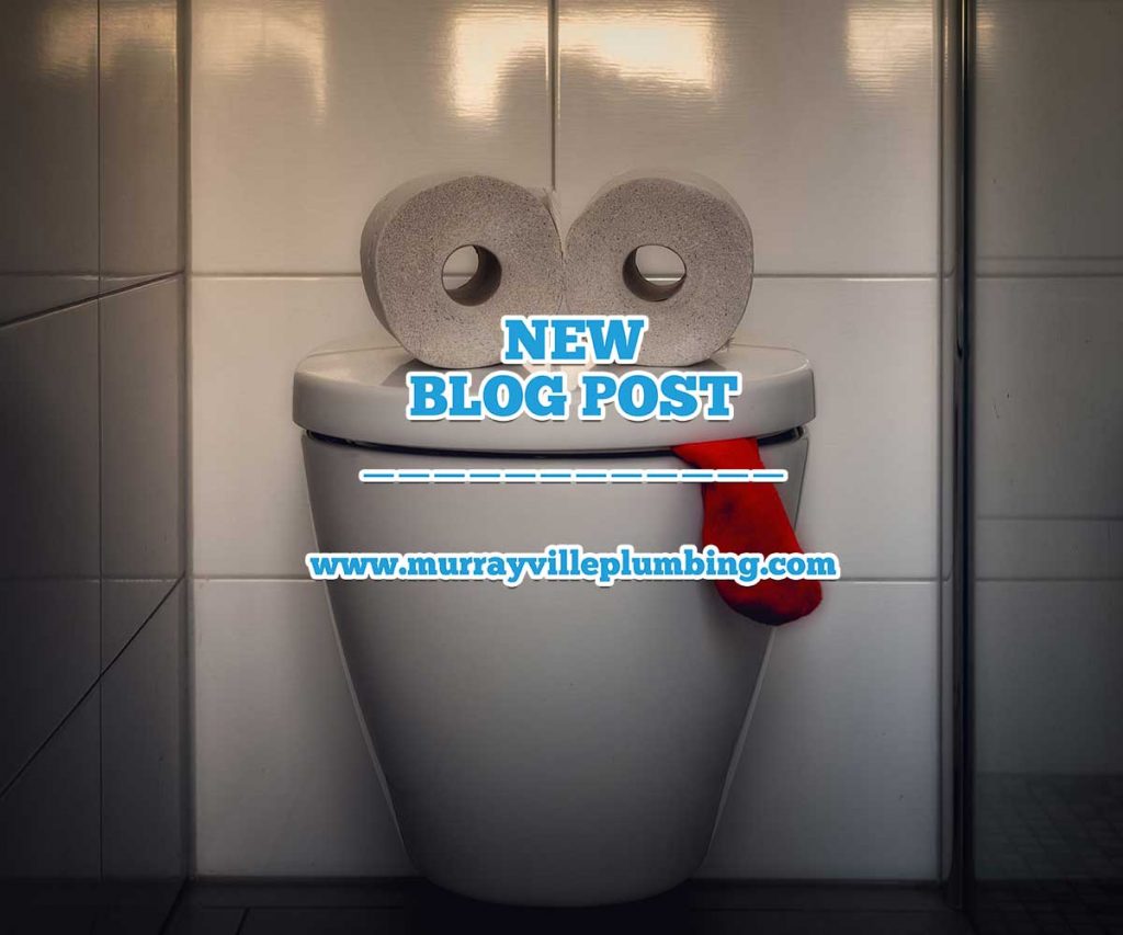 Things You Should Never Flush