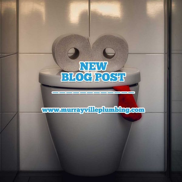 Things You Should Never Flush