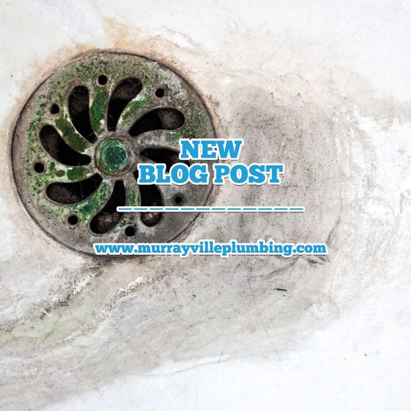 Get Rid Of Mold & Mildew With Drain Cleaning