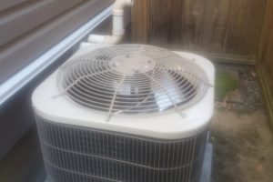 1625091989486 1625091989486