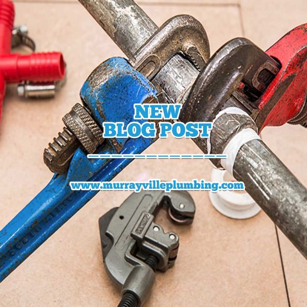 Langley Plumbing Service You Can Trust