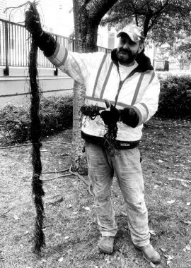 Screenshot-2023-07-17-at-11.52.32-AM-blackwhite